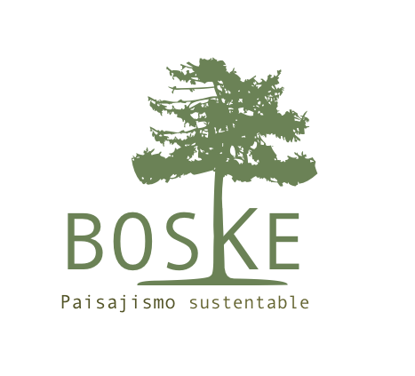 Boske